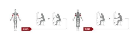 Бицепс-машина Spirit Fitness DWS117-U2