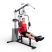 Многофункциональная силовая станция Protrain MT110