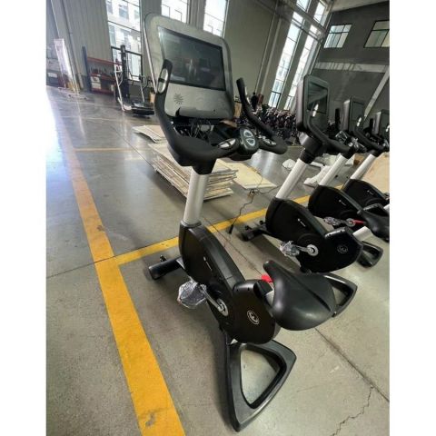 Велотренажер вертикальный Insight Fitness EB8600 (LCD)