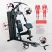 Мультистанция Protrain HG10250 (Витринный)