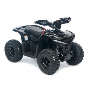 Квадроцикл детский электрический OMA Electric ELF-750 Black