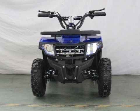 Квадроцикл GreenCamel Гоби K24 (36V 800W R6 Цепь)