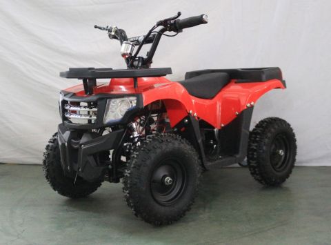 Квадроцикл GreenCamel Гоби K24 (36V 800W R6 Цепь)