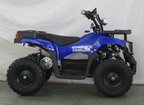Квадроцикл GreenCamel Гоби K24 (36V 800W R6 Цепь)
