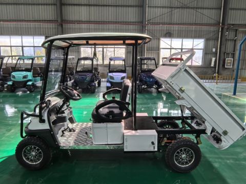 Гольфкар GreenCamel Сонора A2C New (2+Cargo 2500W 130/90-10' литые) пониженная