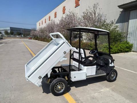 Гольфкар GreenCamel Сонора A2C New (2+Cargo 2500W 130/90-10' литые) пониженная