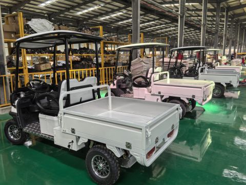 Гольфкар GreenCamel Сонора A2C New (2+Cargo 2500W 130/90-10' литые) пониженная