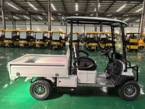 Гольфкар GreenCamel Сонора A2C New (2+Cargo 2500W 130/90-10' литые) пониженная