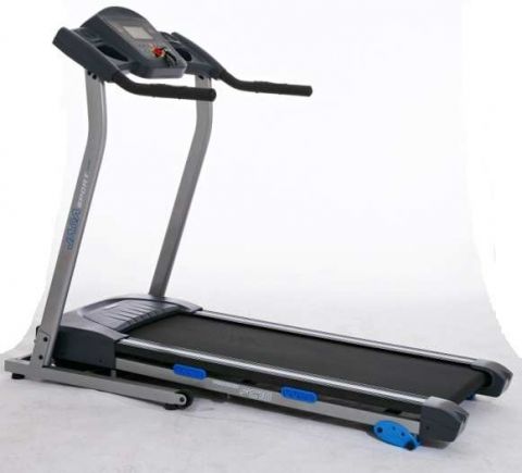 Беговая дорожка Royal Fitness RF-3