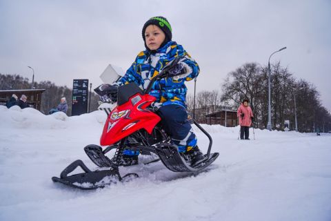 Электроснегокат WHITE SIBERIA BELЁК 800W