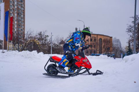 Электроснегокат WHITE SIBERIA BELЁК 800W